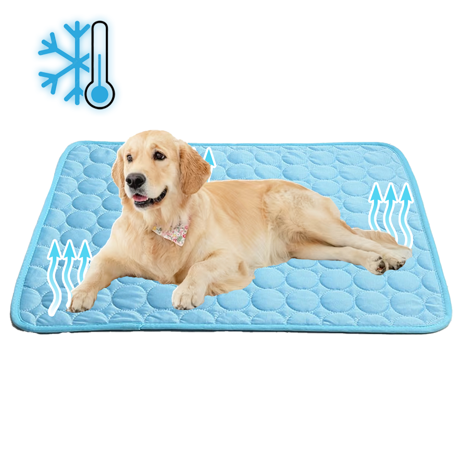 Kühlmatte für Hunde Sommer Hitzeschutz