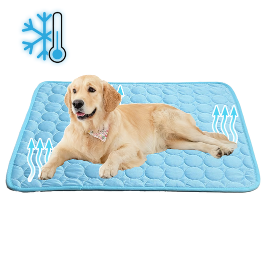 Tapis rafraîchissant pour chien soulagement de la chaleur estivale