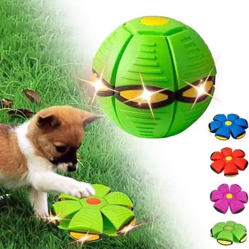 Juguete para perro Disco volador interactivo de goma pelota