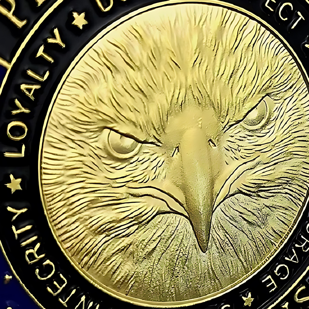 US Military Challenge Coin Veteran Souvenir Collectible Gift