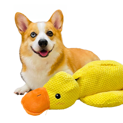 Jouet pour chien en peluche canard stimulation mentale