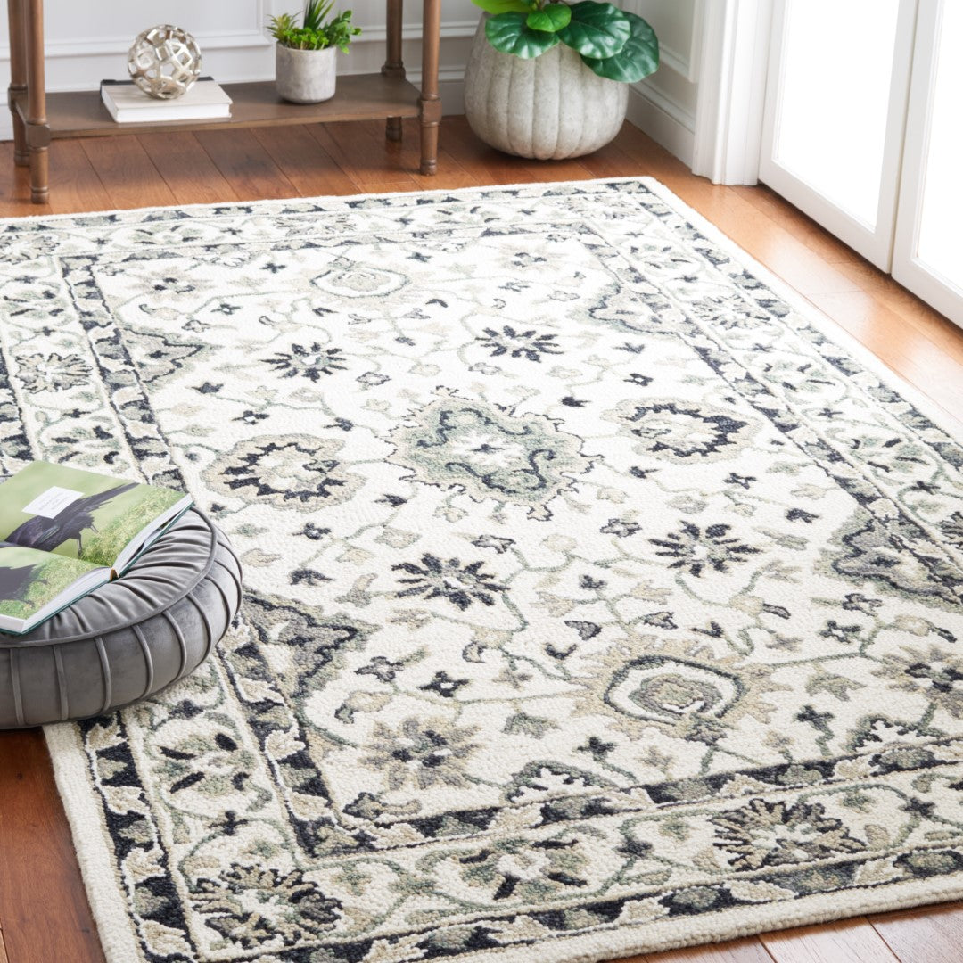 Safavieh Aspen 134 Hand Tufted 85% Wool/15% Cotton Bohemian Rug APN134A-8