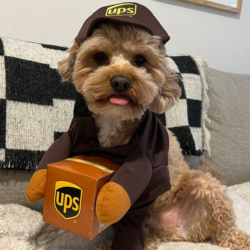 Cute Delivery Dog Costume for Halloween Fun - Image 8
