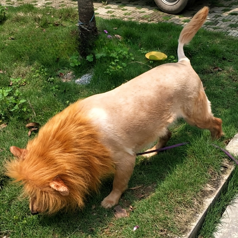 Disfraz de Halloween de melena de león realista para perro | Ligero ajustable