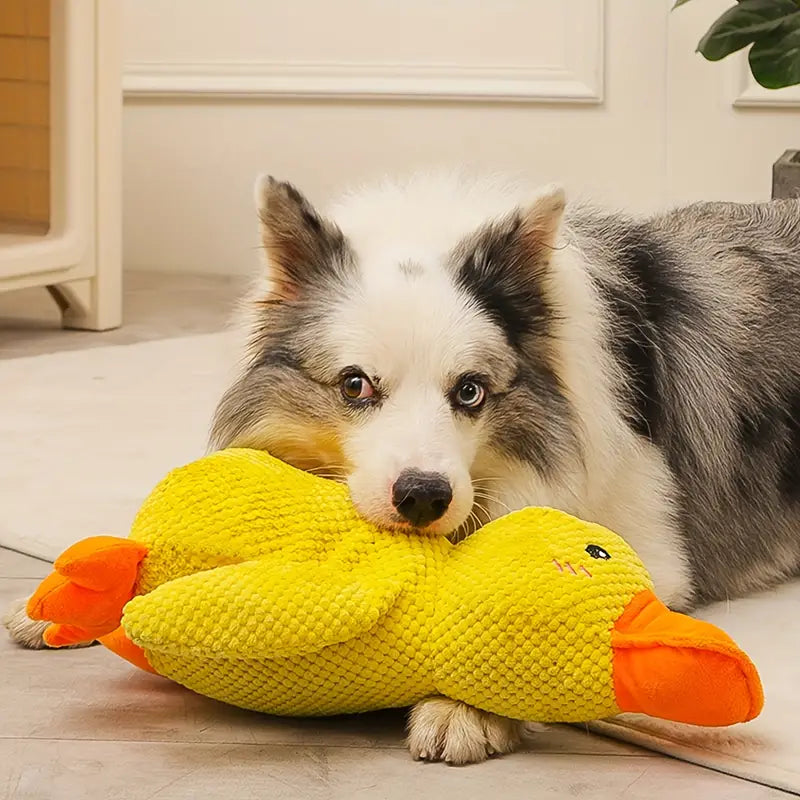 Jouet pour chien en peluche canard stimulation mentale