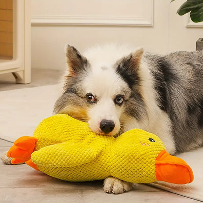 Jouet pour chien en peluche canard stimulation mentale