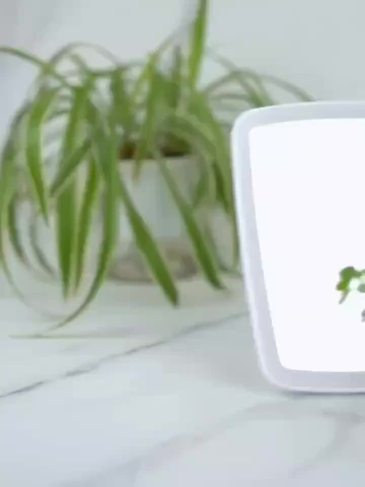 LED Makeup Mirror with Touch Control