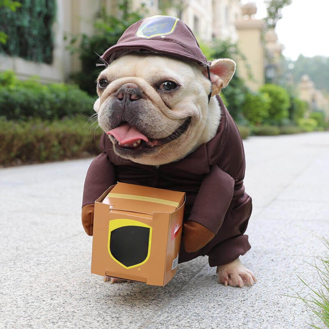 Disfraz de perro para Halloween con atuendo de repartidor