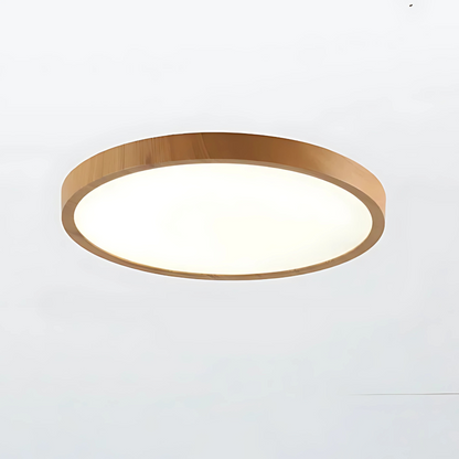Modern Wood Ceiling Lights LED Design