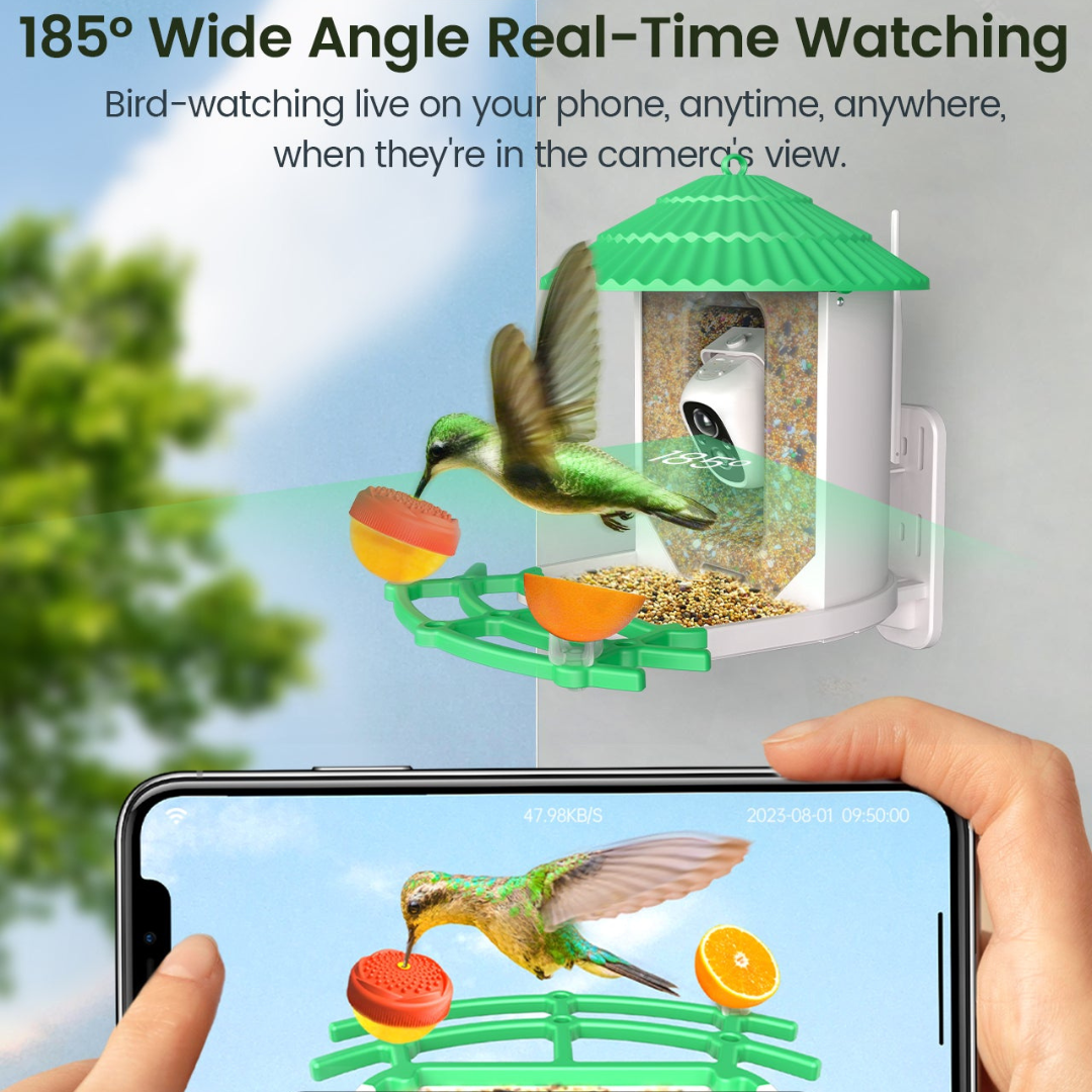Bird Feeder with Camera and Solar Power
