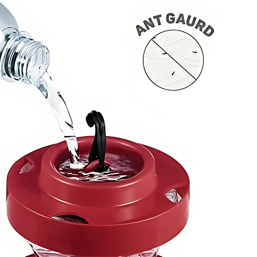 Wisząca Karmnik na nektar dla kolibrów