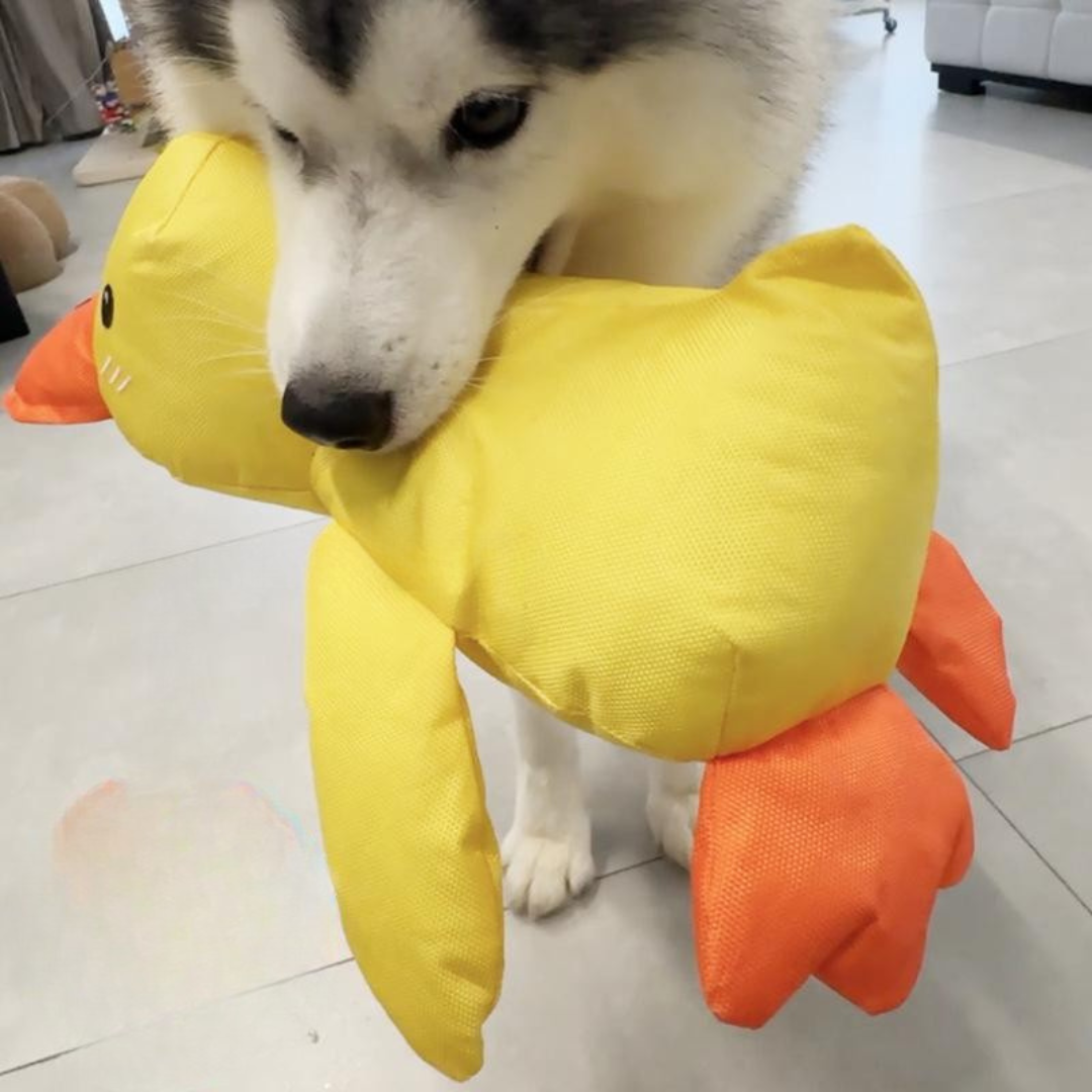 Dog Chew Toy Tough Fabric Durable