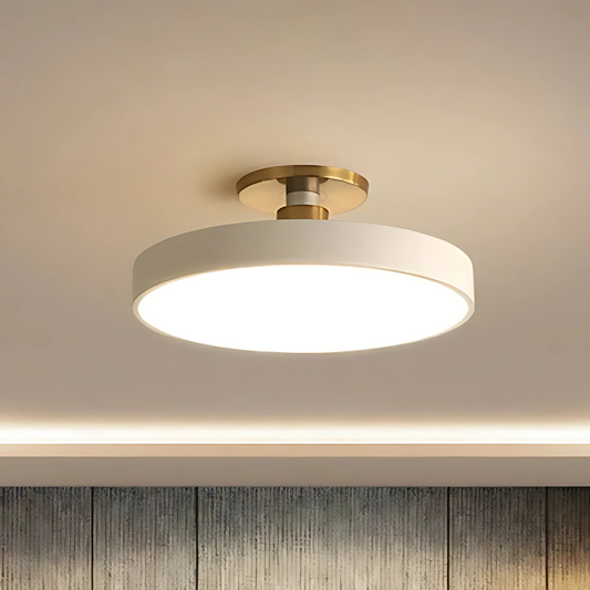 Modern Acrylic Ceiling Lights Flush Mount