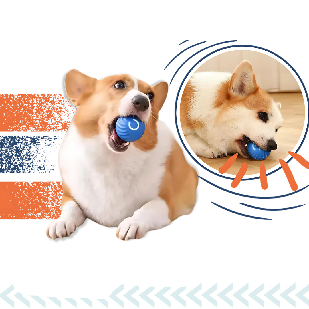 Jouet interactif intelligent balle pour chien