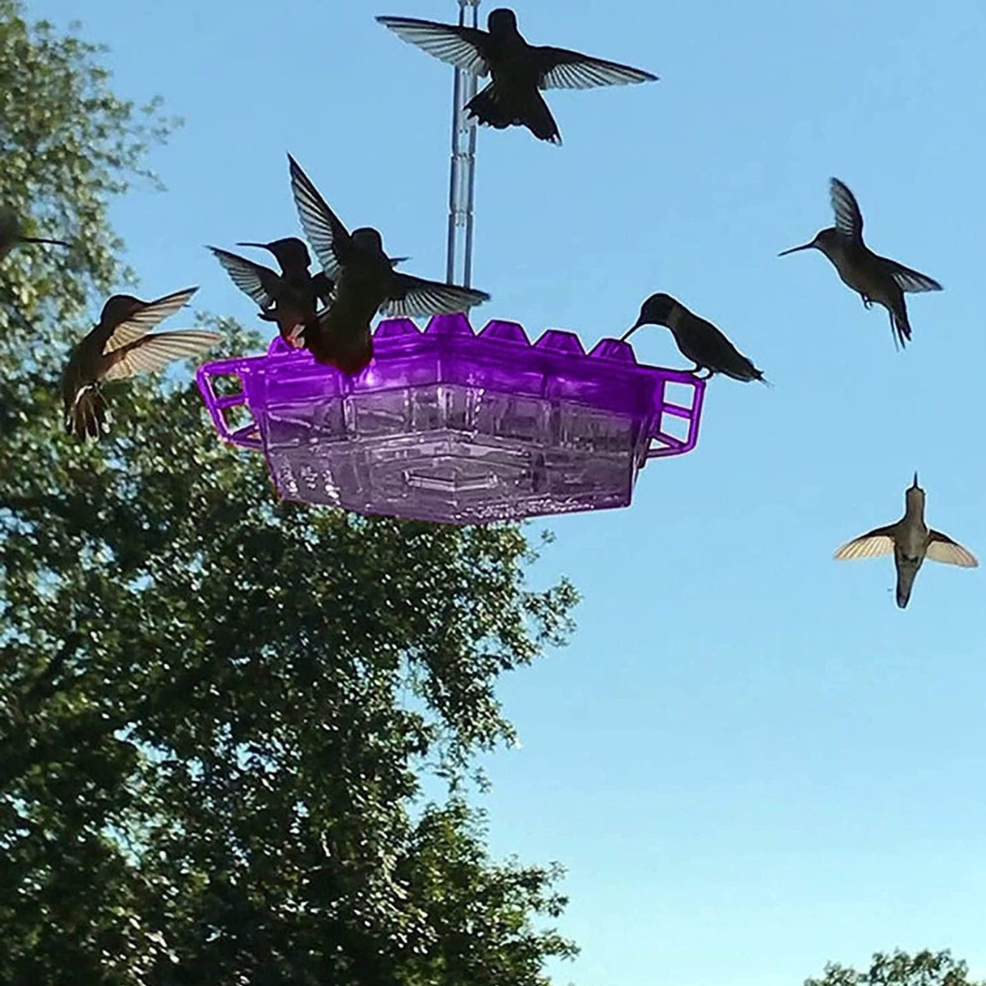 Wisząca karmnik dla kolibrów do ogrodu