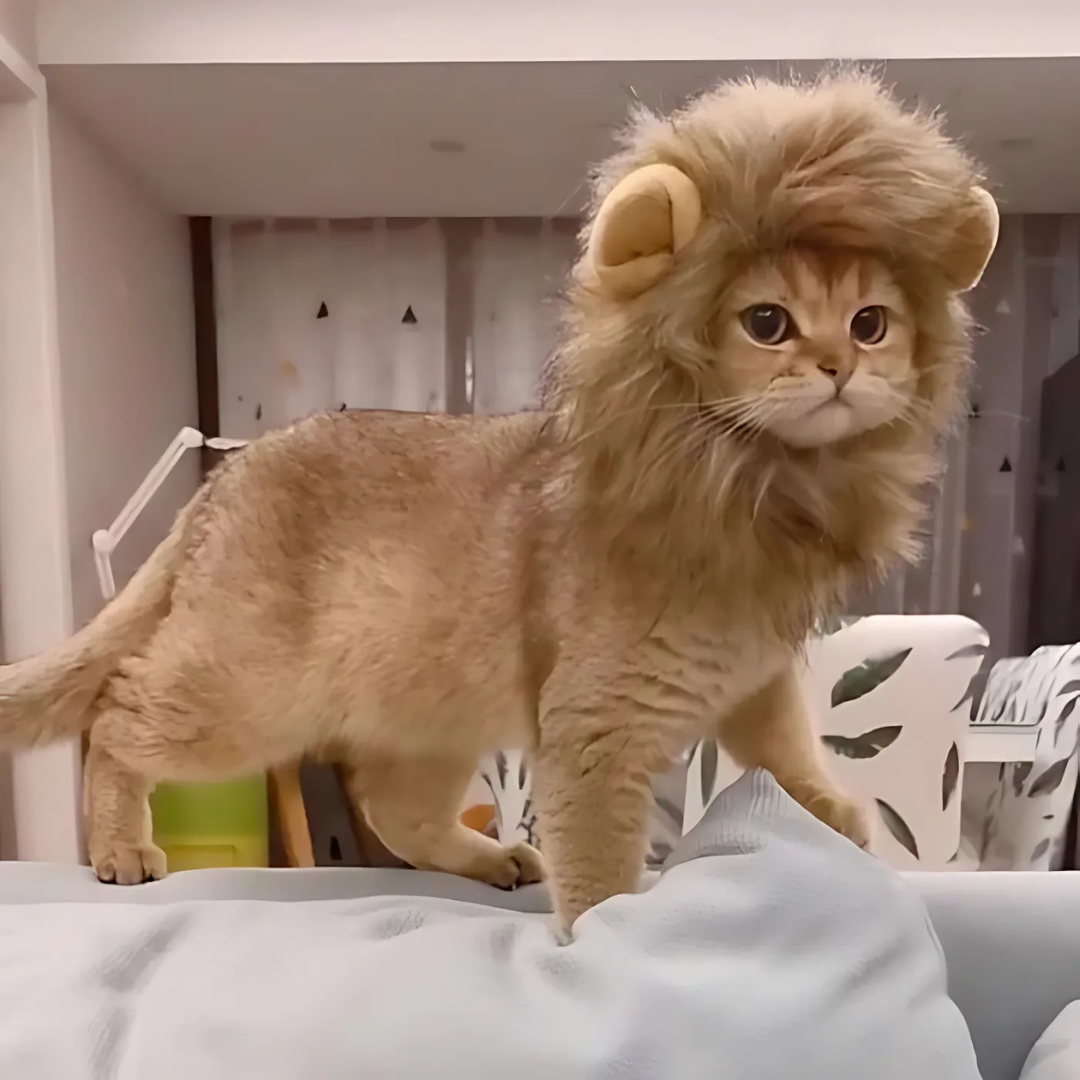 Disfraz de melena de león para gato de Halloween