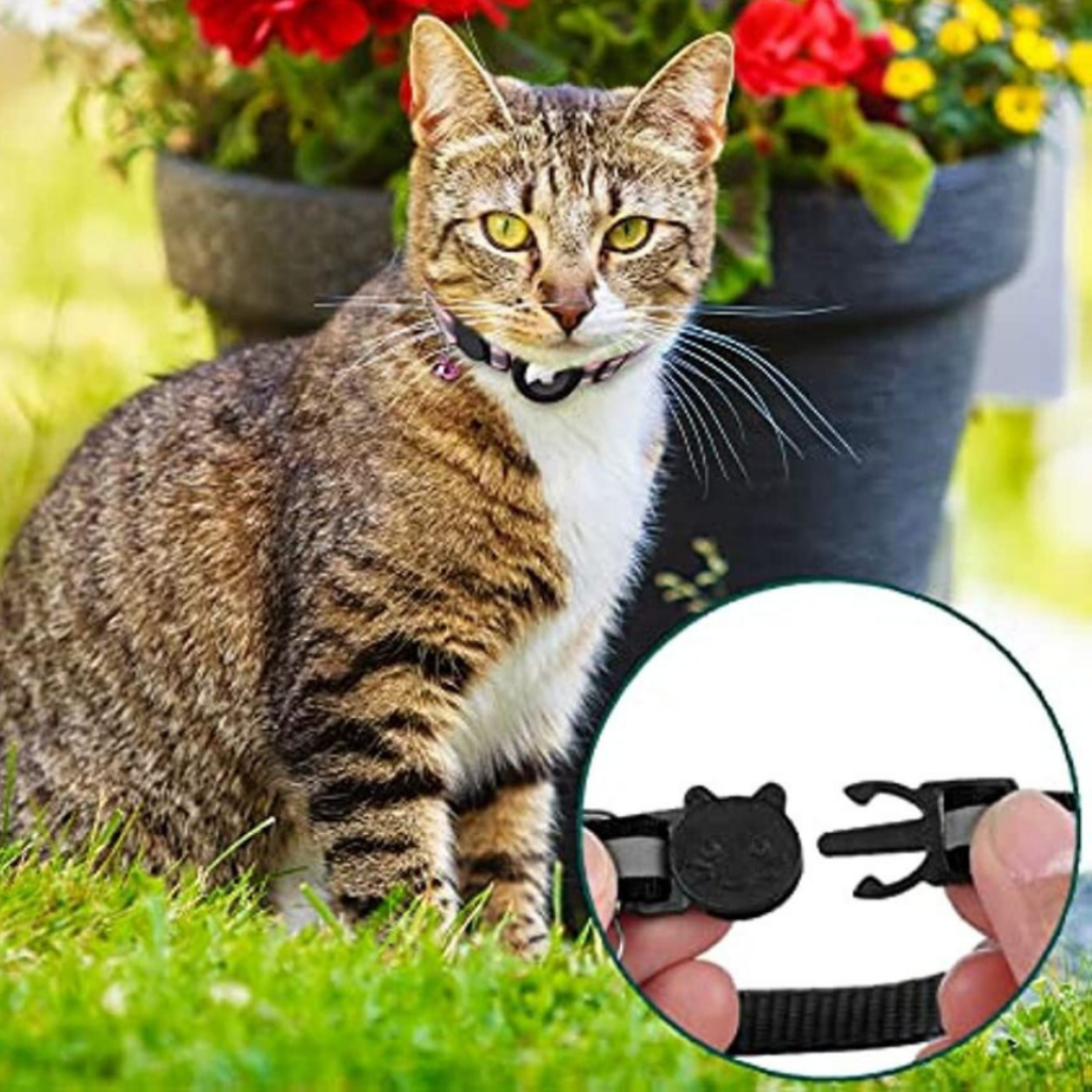 Cat Collar With Bell And GPS Tracker Holder