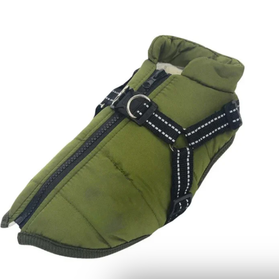 Abrigo para perro arnés paseos de invierno