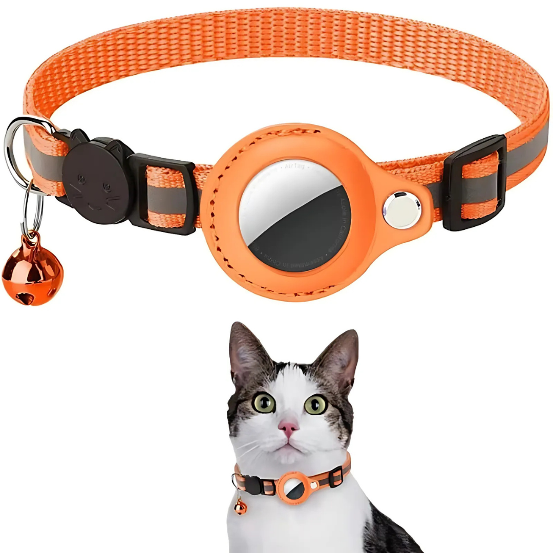 Collier pour chat avec clochette et support de traceur GPS