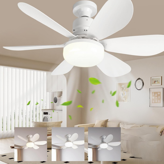 Ceiling Fan with Adjustable LED Lighting