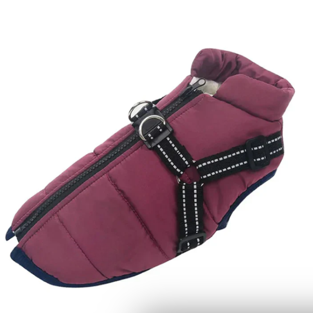 Harnais manteau pour chien pour les promenades d'hiver