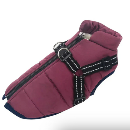 Harnais manteau pour chien pour les promenades d'hiver