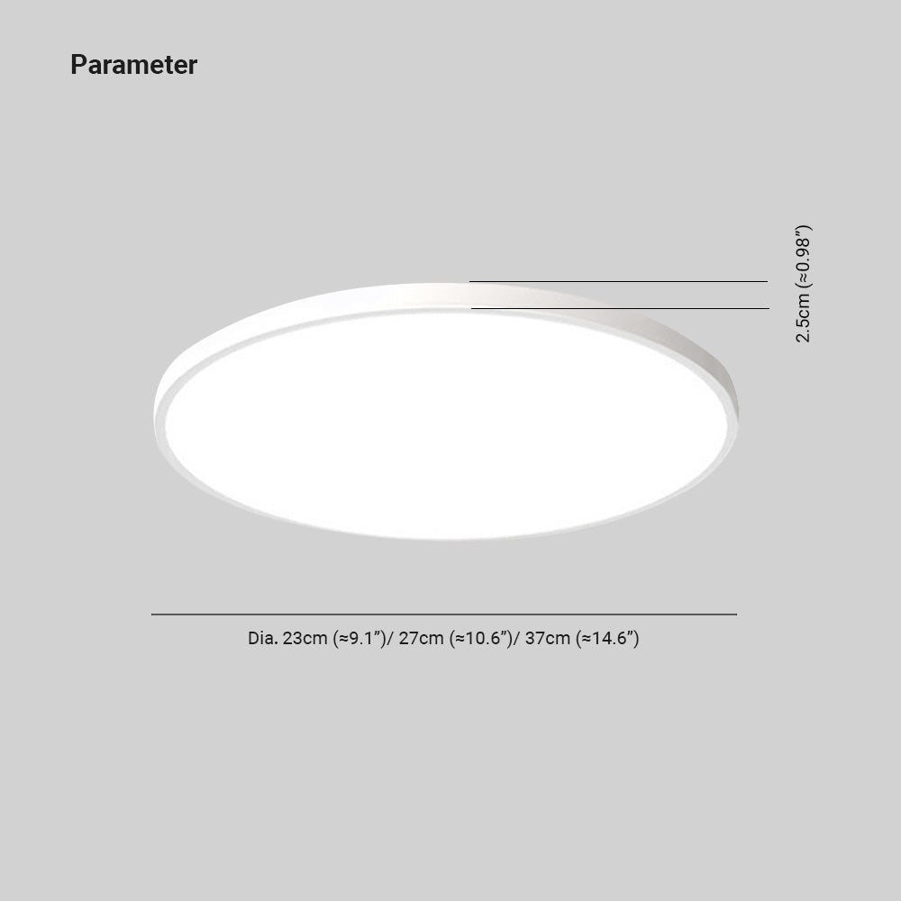 Ceiling Light Modern LED Round Metal Fixture