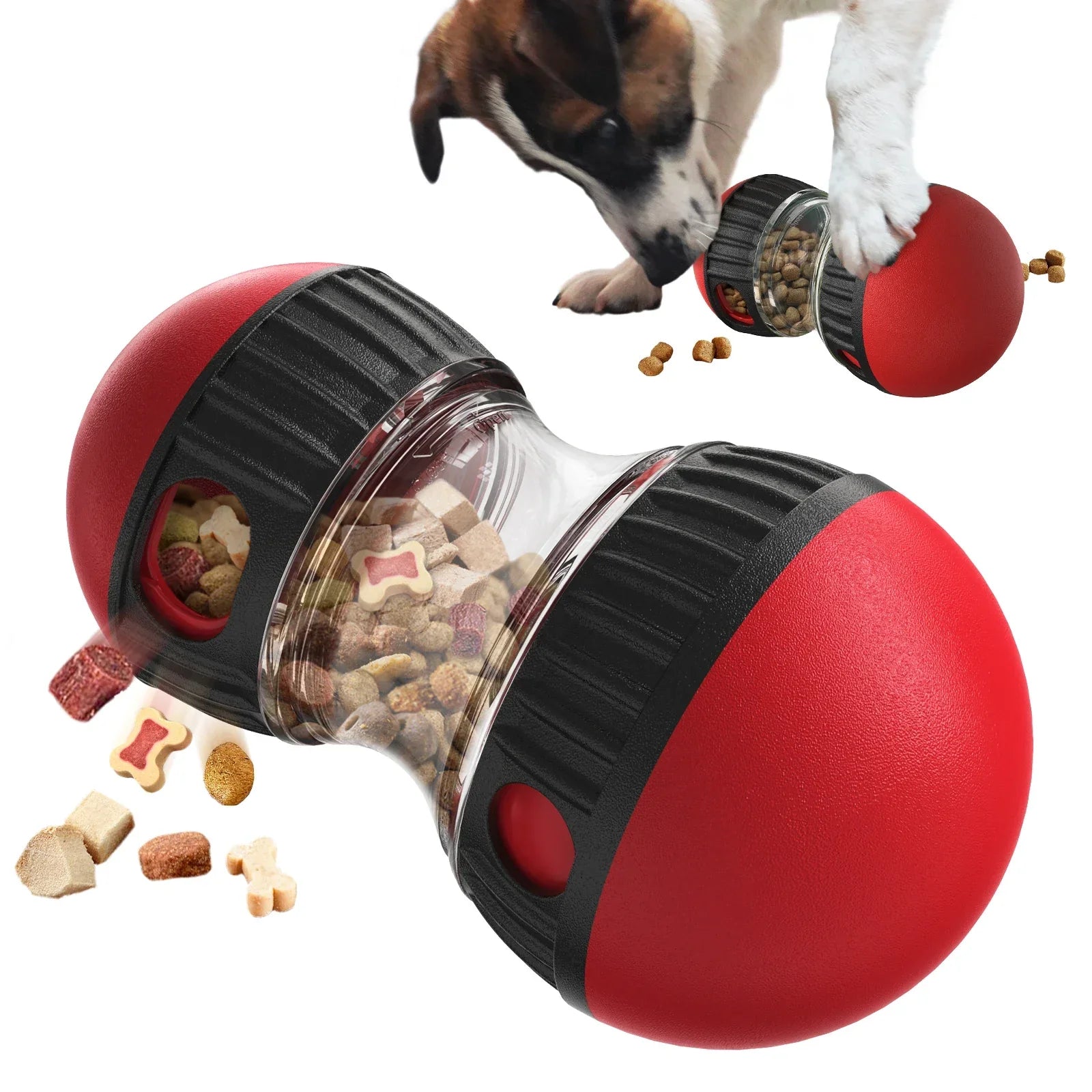 interactive-pet-intelligence-t-1-r56e40