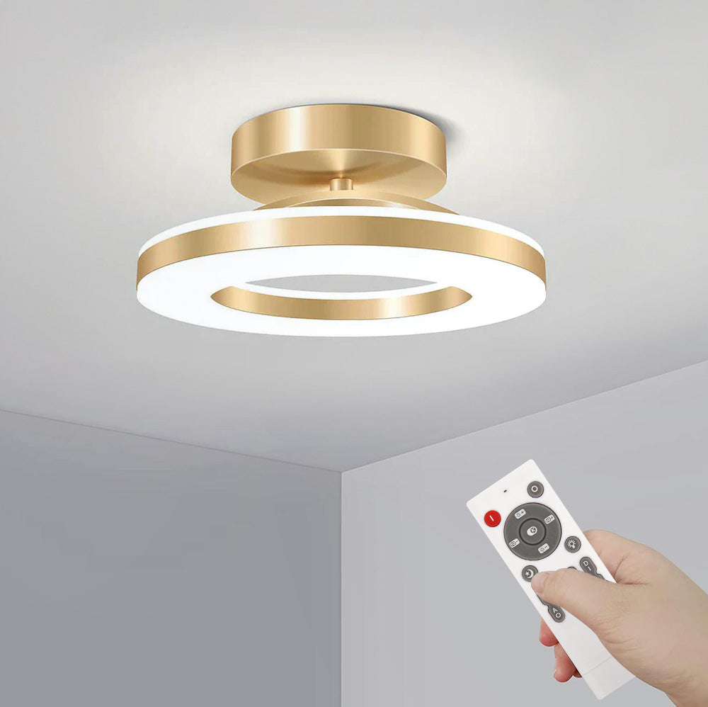 Contemporary Iron LED Ceiling Light for Hallways - Stylish Modern Illumination for Your Home Entrance and Corridors