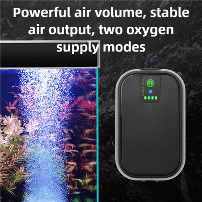 OxyFlow – Compact Aquarium Oxygen Pump