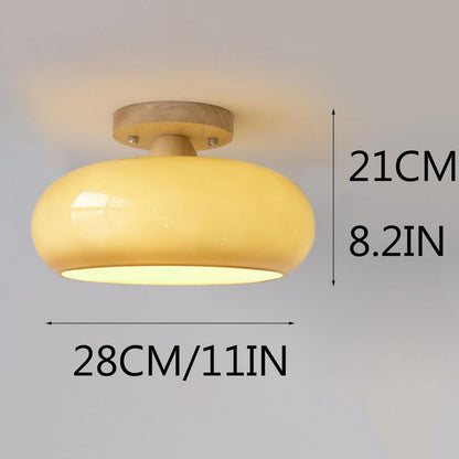 stylish-led-ceiling-light-for--12-yg68do