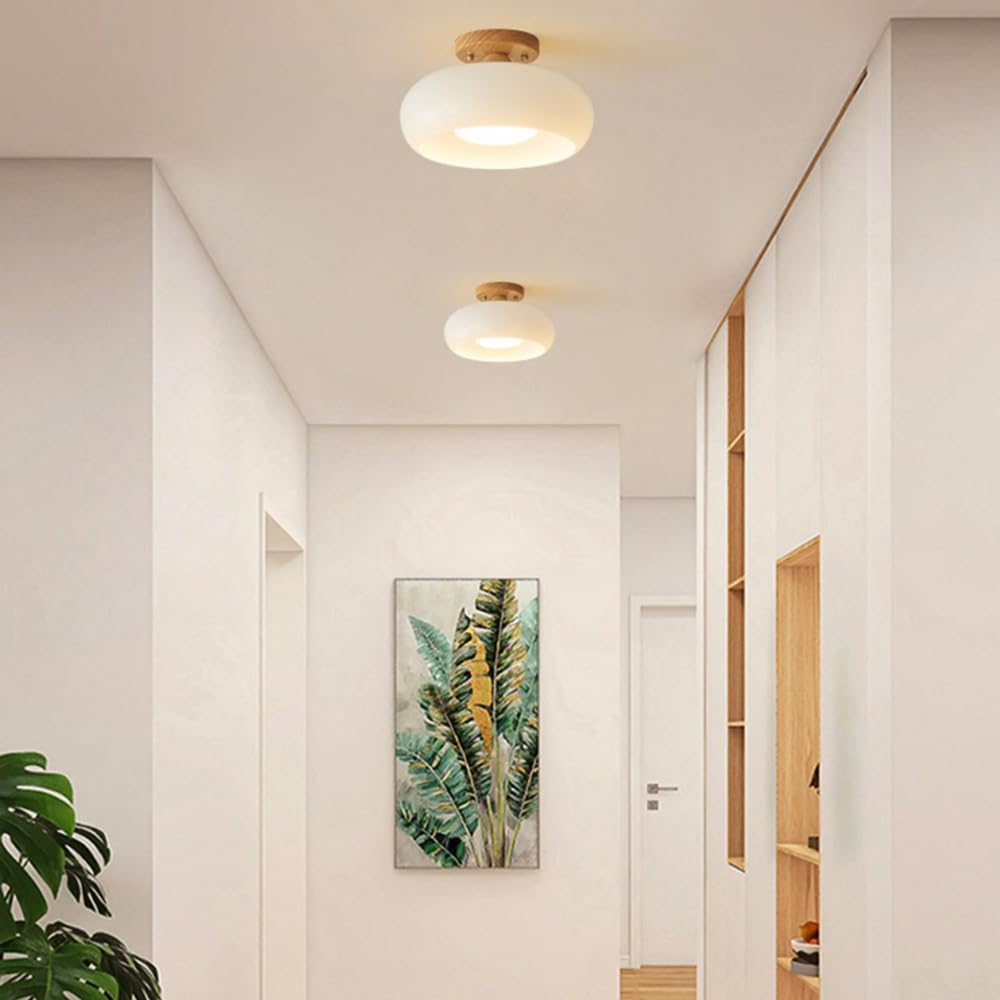 stylish-led-ceiling-light-for--2-ah70vn