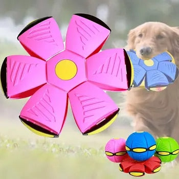 Hundespielzeug Interaktiver Gummifliegende Scheibe Ball