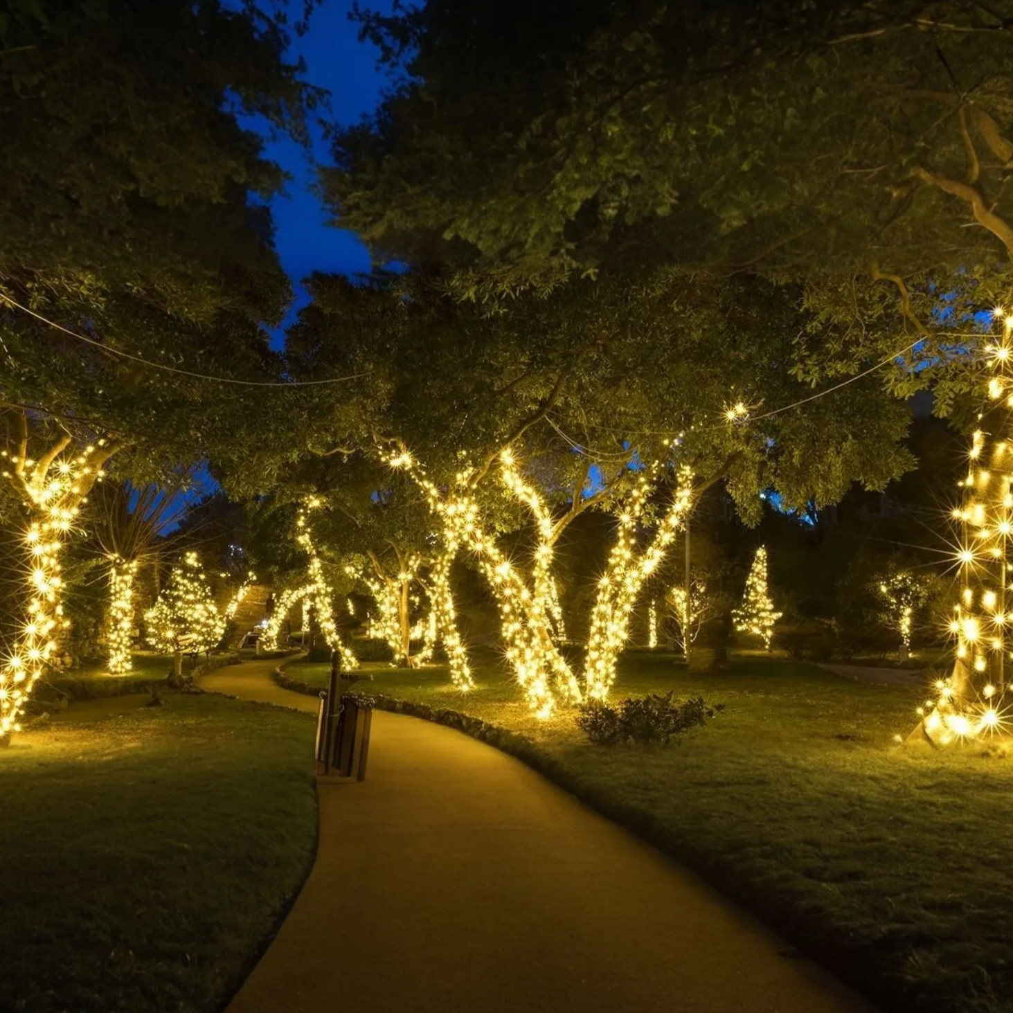 Fairy Lights Solar Outdoor Waterproof LED String