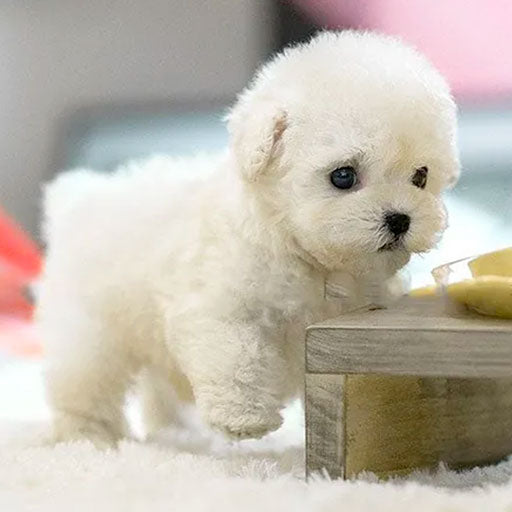 Robot Puppy Realistic Dog Interactive Plush AI Dog Robot